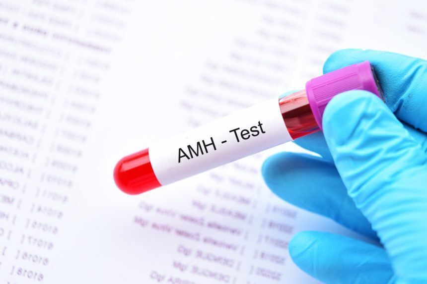 AMH thấp nhìn qua góc độ YHCT?