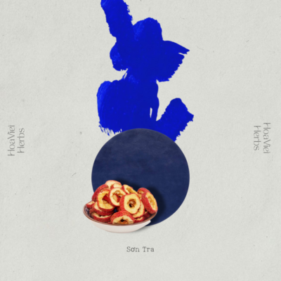 Sơn Tra