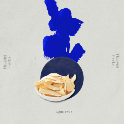 Ngọc Trúc