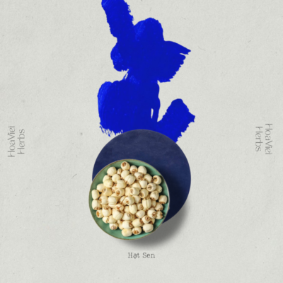 Hạt Sen