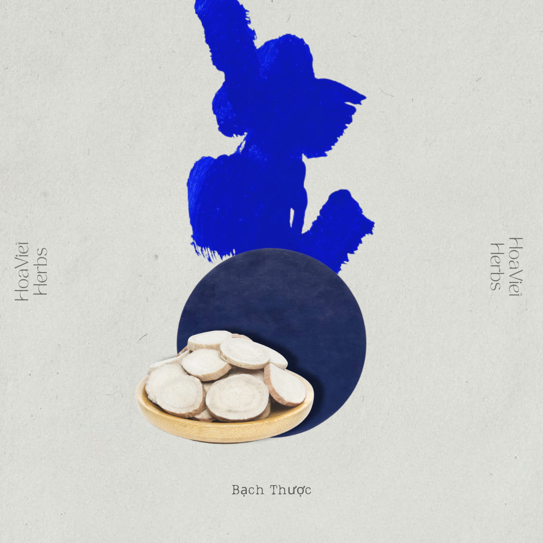 Bạch Thược Bạch Thược