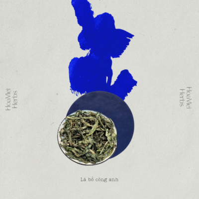 Bồ công anh khô nguyên lá