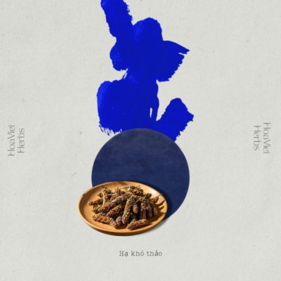 Hạ Khô Thảo