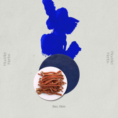 Đan Sâm